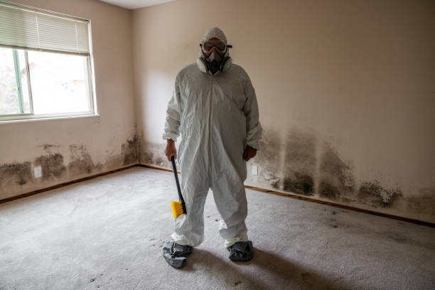 Mold Removal for HVAC Installations in Island City, OR